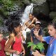 93- Explications botaniques 